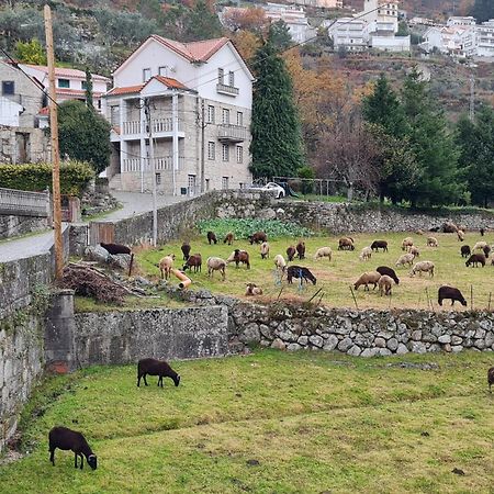 Casa Da Cantareira Loriga Dış mekan fotoğraf
