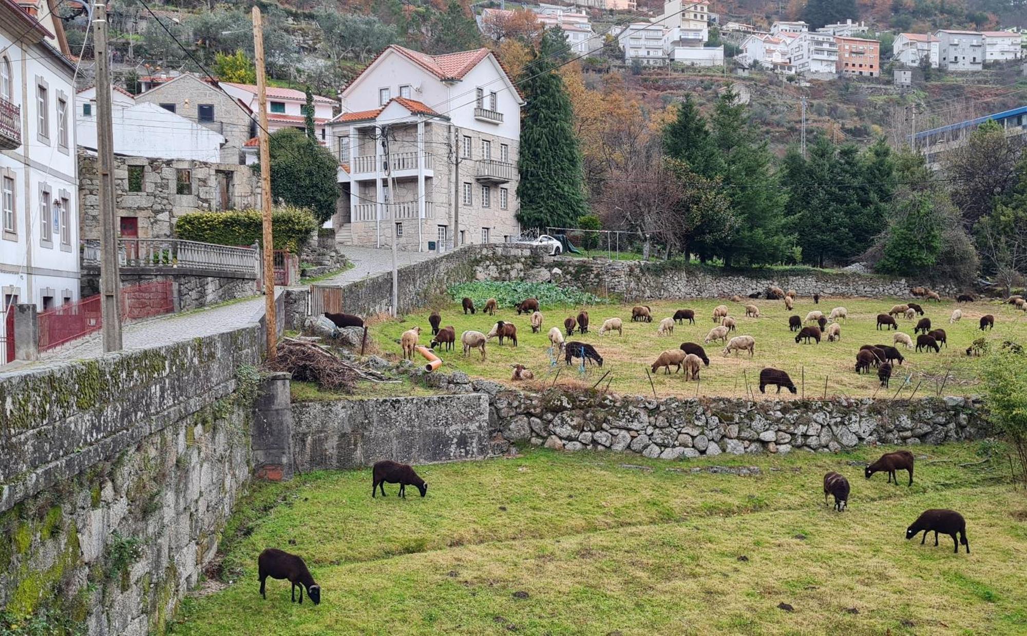 Casa Da Cantareira Loriga Dış mekan fotoğraf